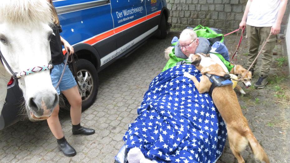 Ines zuhause mit Hund und Pferd